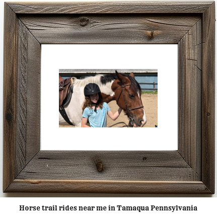 horse trail rides near me in Tamaqua, Pennsylvania